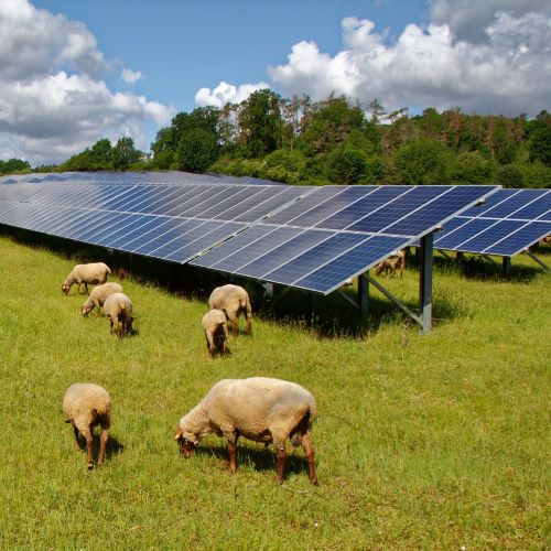 Solar farm